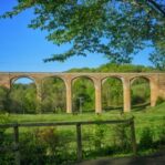 home care in the lothians