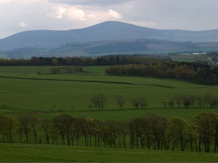 home care in lanarkshire